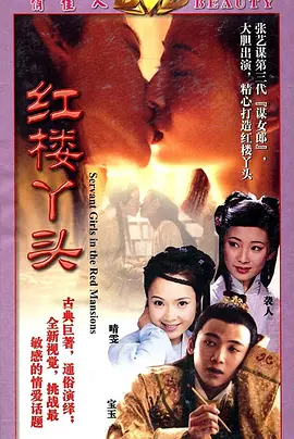 红楼丫头(全集)