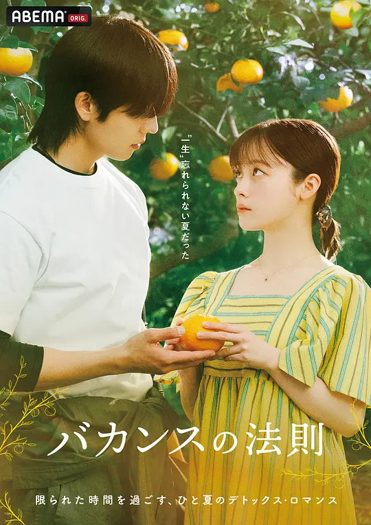度假法则(全集)
